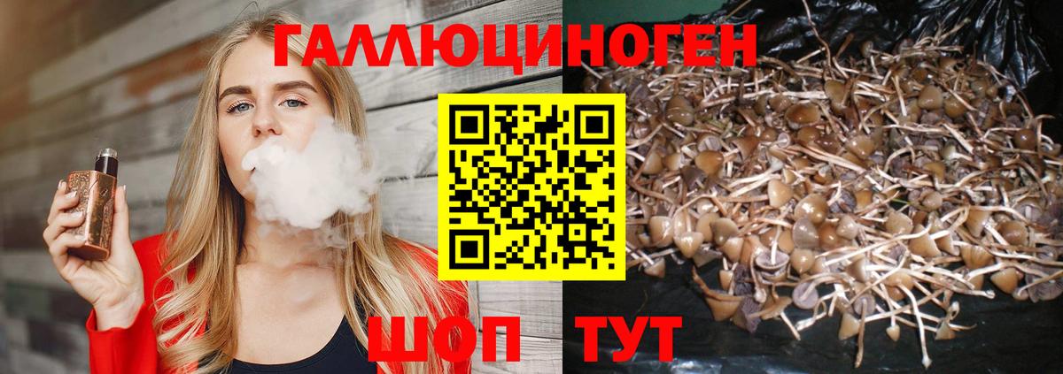 купить наркотики цена  Псилоцибиновые грибы MAGIC MUSHROOMS  Вход с VPN  Галлюциногенные грибы Psilocybine cubensis  Балашиха 